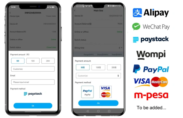 Payment